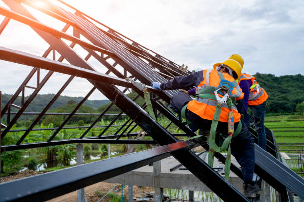 Professional Roofing Contractor in Paw Paw, MI
