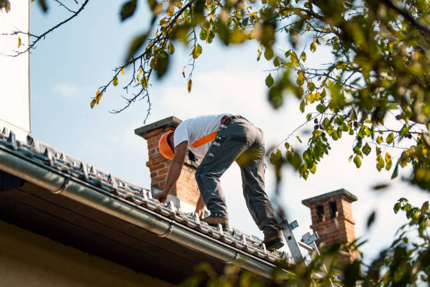 Best Commercial Roofing Services  in Paw Paw, MI
