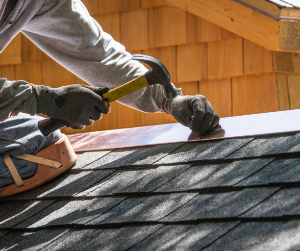 Best Residential Roofing Contractor  in Paw Paw, MI